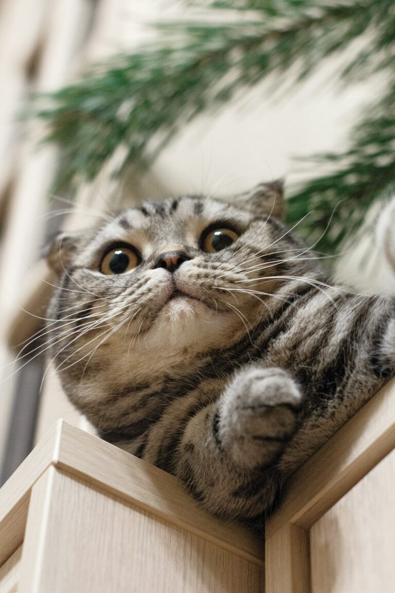 影の向こうに